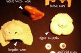 prosthetics with description